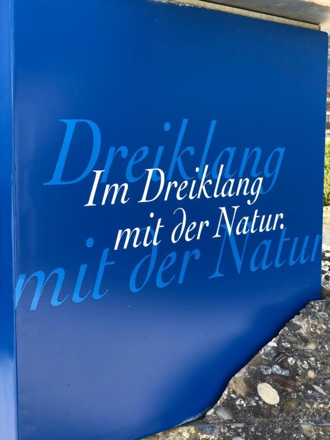 Vitallgaeu-Neues Studio Mit Koenigscard 普夫龙滕 外观 照片